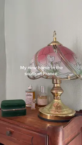 I moved in with a sweet old man and his cat florette 🪷 🐈‍⬛ #fyp #foryou #france #tapif #bordeaux 