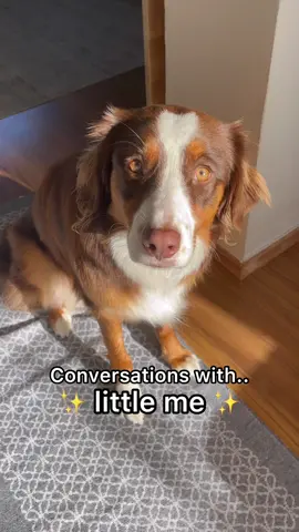 And now she’s all grown up 🤍 #dog #fyp #foryou #pettok #dogsoftiktok #doghug #dream 