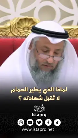 لماذا الذي يطير الحمام لا تُقبل شهادته ؟ . . #صالح_الفوزان #حمام #تربية_الحمام #الشيخ_صالح_الفوزان #الفوزان #العلامة_صالح_الفوزان_حفظه_الله #مربي_الحمام #الحمام #shorts #العلامة_الفوزان #فتاوى #فتوى #فتاوى_الفوزان #استبرق #istaprq 