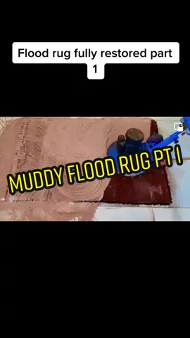 Muddy flood rug fully restored part 1 #foryou #andGO #oddlysatisfying #rugtok #CleanTok #cleaning #rugcleaning #rugscrubbing #flood #satisfying #asmr #rugasmr #algorithm 