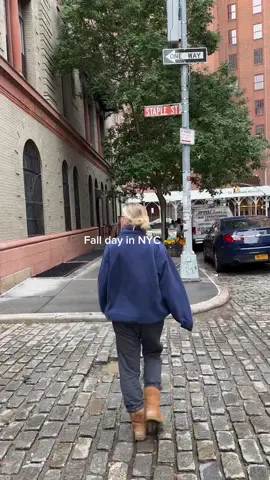 #nyc #fallinnyc #newyork #newyorkcity #fallaesthetic #fallinthecity #fallinny #fallwalks #dayinthelife 