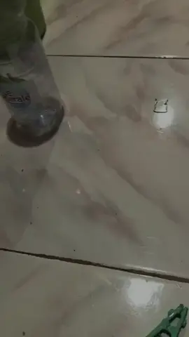 duduk melingkar gelas berputar 🍺