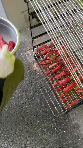 Making Alaskan Smoked Salmon Candy.  #realartisbetter #scottclendaniel #Alaska #alaskanartist #artist #realart #salmon #wildcaught #smoked #smokedsalmon #livingthedream #sockeye #redsalmon #realwildcaughtsalmon #cookinletsalmon #nopebblemine🚫  #alaskalife #alaskalifestyle #fish #fishing #cooking #smoking