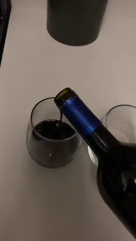 How I like to end my night 🍷 #fyp #contentcreator #andGO #pessimist #lowexposure 