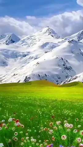 #أدعيه #اسلاميات #قرآن كريم #سبحالله #ورود_طبيعيه #ورود_ملونة #دويتو #sverige #allahuakbar #foryoupage #nature 