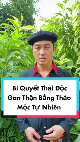 Thải Sạch Độc tố Gan Thận khoẻ như voi #thaidoc #suckhoe #songkhoe247 #xuhuong #LearnOnTikTok 