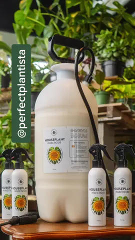 Want 50% off a bottle of our plant spray? Help me help you!  #planttiktok #plants #plantcare #perfectplantista 