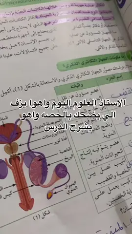 الزم حدودك انتا ويا🥰#اغوى_كويتيين #كوين_كويت #علوم_تاسع 