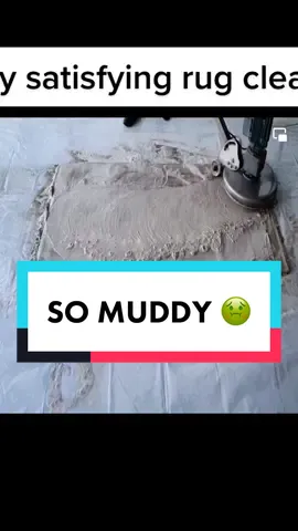 The filth that just pours out of this rug 🤢🧽🧼 #CleanTok #andGO #asmr #foryou #cleaningtiktok #satisfying #oddlysatisfying #cleaning #rugtok #fypシ #rugs #andGO #OverwatchMe 