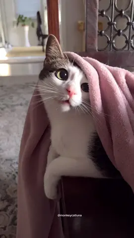 a normal crunchy day