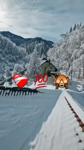 انا محتاج غيبوبه تعبان مالك يا اخويا ليه قرفان 😵💤💤💤💤