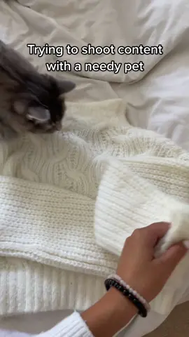 Just one shot of the sweater PLS #justababy #catsoftiktok #PetsOfTikTok #influencersinthewild #revolve #revolveme 