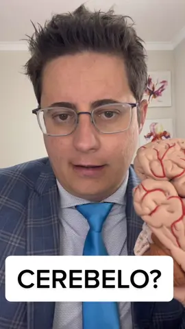 Cerebelo #tontura #cerebro #cerebelo #anatomia 