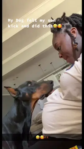 35Weeks🫶🏾🥰🧡 #babyboy #dobermanpinscher #35weekspregnant 