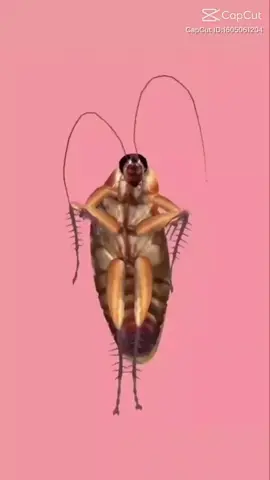 tiểu cường HN bt nhẩy ạ#Master2022byTikTok #xuhuong #xuhuong #BanTinChungVui #Master2022byTikTok #xuhuong #tieucuong