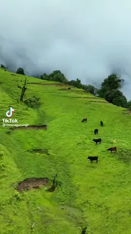 #natureloverrs like and copylink gardim loh #CapCut #goviral #fypシ゚viral #keepsupporting @Róshäñ Bãñîyä @Janam Thapa652 @dabal Chand thakuri @@Kabu❤️ 