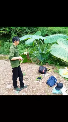 chuẩn bị đã hết một năm 2022