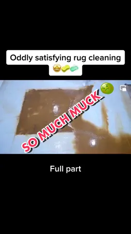 I need to know where all the dirt hides in these rugs & I need to know now. 🤢🤯 #rugtok #CleanTok #cleaningtiktok #asmr #fypシ #andGO #rugscrubbing #rugsnotdrugs #rugscraping #oddlysatisfying #algorithm #rugcleaning #rugasmr #foryou 