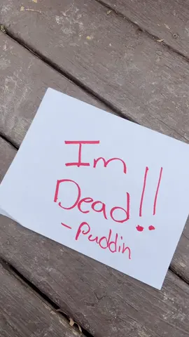 Bull Dozer 💀 #1jolly1 #OverwatchMe #imdead 