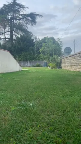 Cette délicatesse ! 🙌🏼 #staffy #staffylove #delicatesse #humour