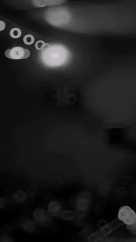 دخيل ابو فاضل..💚#طــَــف #حيدر_البياتي #fyp #viral #capcut 