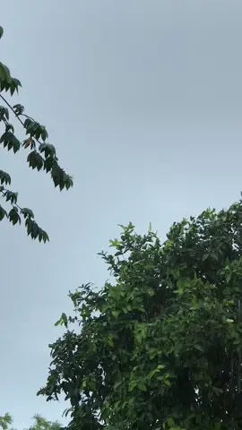 Di luar hujan
