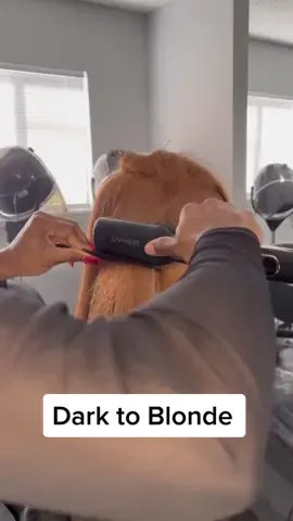 Healthy blonde 😍 @eapheat #fyp #alabamahairstylist #darktoblondehair #silkpressnaturalhair 