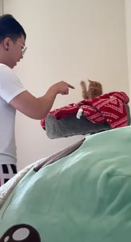 Was looking through old videos since I miss kevin and the cats and found this video when he was scolding lychee for getting litter everywhere 💀🤣 #fyp #catsoftiktok #cattok #cats 