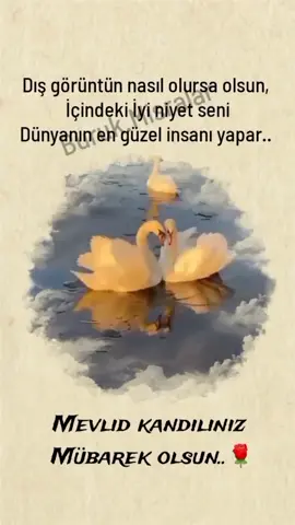 #mevlidkandili #dua #cumamesajları #allah #dua #kuran #namaz #duasözleri 