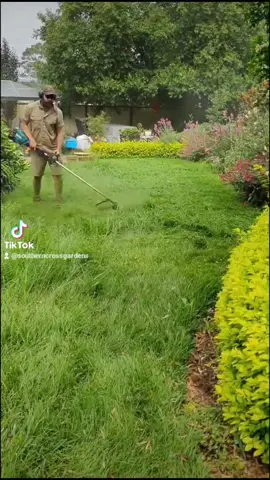 Was thiiiick!! #lawn #lawntok #video #foryou #lawncare #blowthisup #grass #grasstok @KingGee Workwear 