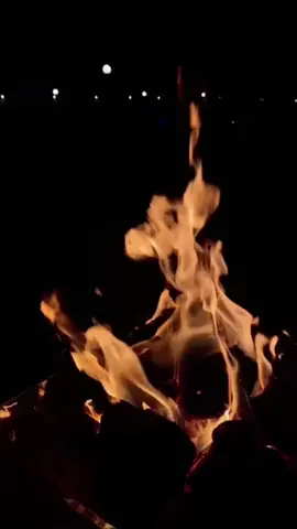 اسرح مع طيوفي على صوت مبحوح 😌