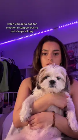 #fyp #dogsoftiktok #cutedog 