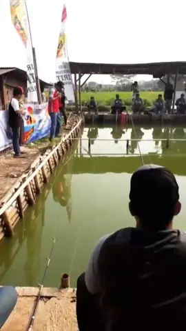 #video #ngakak #lucu #tiktok #indonesia _lomba mancing panitia kecebur #🤣🤣🤣 
