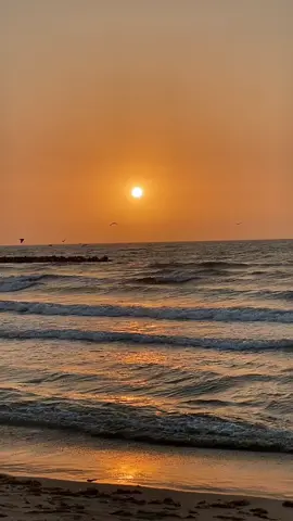 احلى عباره تثبيت🫶🏻                                                                                                        #fyp #pyfツ #foryourpage #viral #بحر #غروب #عبارات #اكسبلور_تيك_توك 