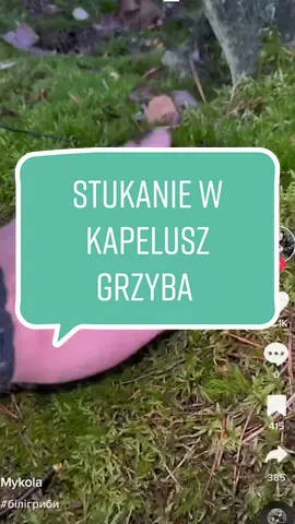 Wiedzieliście o tym? #tocolubienajbardziej #grzyby #grzybtok #jesień #jesieniara 
