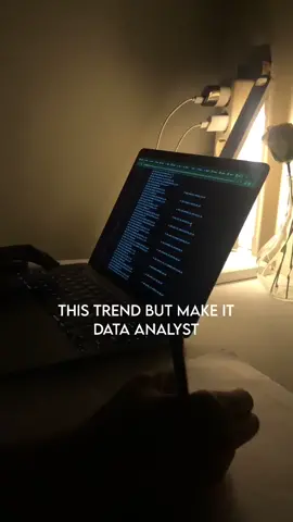 this trend but make it #dataanalyst 🤌 **for fun only 