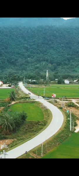 Ngày bé chỉ mong lớn lên thật nhanh, trưởng thành rồi lại ước mình bé trở lại #tanhlinh #tanhlinhbinhthuan #binhthuan 