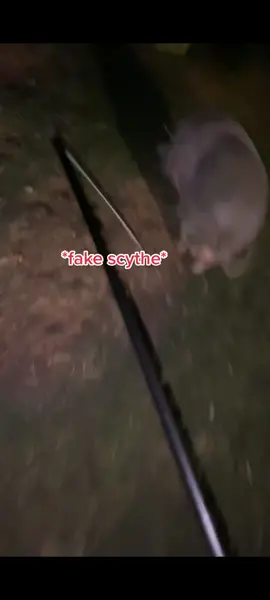 Its a Peneleplop haha #fyp #foryou #pigsoftiktok #pig 