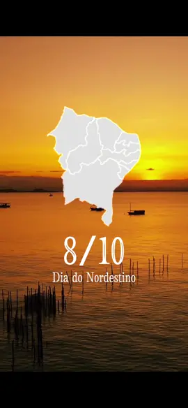 Eu sou nordestino com muito orgulho e amor ❤️ VIVA O NORDESTE !  #nordeste #diadonordestino #maranhao #piaui #ceara #riograndedonorte #paraiba #pernambuco #alagoas #sergipe #bahia