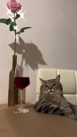 #mood 🔥😎