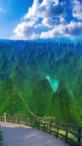 Shiwanda Mountain 🏔️ Guangxi #scenery #foryou 
