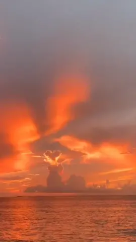 ya casi un año de tu partida #primo#sad#partida#anabeldavalos #anabel_davalos #siempreclave 