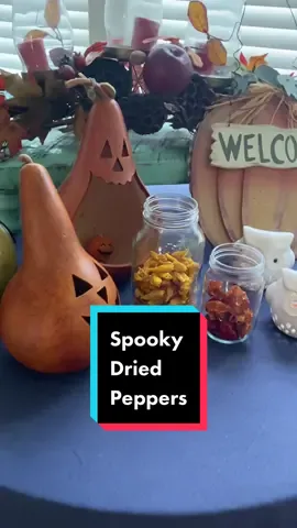 Here is what I do with some of my spicy peppers. When peppers are this hot, it can definitely be a little spooky 👻 #homegrown  #spooky #hotpepper #spicy #driedpeppers #verygoodgardening #halloween #fallgardening #growyourownfood #growyourownspices #gardening #gardentok #peppers #homestead #homesteadtiktok #preservefood 