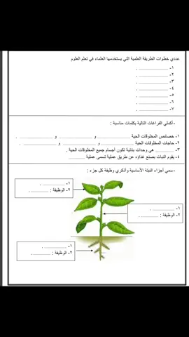 مراجعه العلوم الصف الثالث ابتدائي