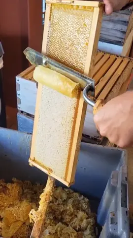 🍯#viral #satisfyingvideo #food #oddlysatisfying #satisfaction #skills #clean #CleanTok #LearnOnTikTok #tipsandtricks #ideas #skills #tips #ideatimes #foryou #fypシ 