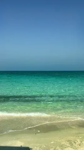#عبدالكريم_عبدالقادر 