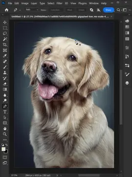 How to remove background in photoshop #Master2022byTikTok #photoshop #ducthangds #photoshoptutorial #photoshopskills #photoshoptricks #LearnOnTikTok #yeudonphuonglagiremix #yeudonphuong #mee 
