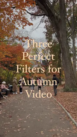 If you’ve been looking for a filter that will give all of your videos that extra autumnal boost, I’ve got you covered! I make ig color grading filters and these are my recommendations for your october and november content:   Upper West Side.co: This was one of the first filters I made, specifically for the uws, but it ended up becoming my unofficial filter of the fall season. it’s classic, buttery and warm. it gives all the reds oranges a yellows a little boost, while desaturating the greens and blues.   Central Park.co: This was made specifically for boosting fall colors when you’re in the park. it leans a little cooler to compensate for sunny blue skies and doesn’t make them look super murky. This is great for days when you want a fall look, but the weather isn’t giving what it should.   Uptown.co: This is one of my newest filters and is basically Upper West Side.co to the max. it’s extra warm, extra cozy, and makes literally ANY video look like it’s straight out of a scene from When Harry Met Sally.   You can see and save all of my filters by going to my ig profile and tapping the ✨. From there, you can scroll down to find each of these and use them on your next videos!   PS: I’m still trying to figure out how I can port them over to Tiktok, but it’s a learning curve and I’m still not sure yet… TBD!  Pro Tip:  Always apply the filter as the LAST step before you post. sometimes the app is buggy and will remove a filter before you post if you edit text or audio after applying the filter. there’s also a bug where it will cause a horrendous flickering. the best way to make sure it’s working is to preview the video when setting a thumbnail. if it looks like the filter has been applied and you don’t see any flickering, you’re all set to post!  Don’t forget to tag me when you share—I can’t wait to see what you make with them!  #fallfilter #ethanbarberco #centralparknyc #autumninnewyork #newyorkcitylife 