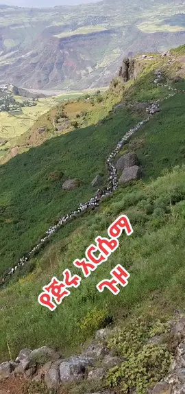 #viral #mus #duet #zekiwos1212 