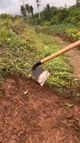 Super powerful weeding hoe large size #garden #StressRelief #tool 